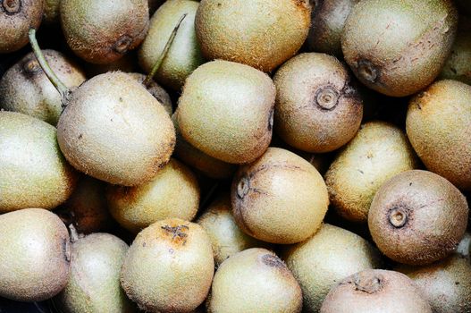 A pile of fresh wild kiwi fruits