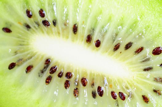 Closeup of kiwi fruit slices