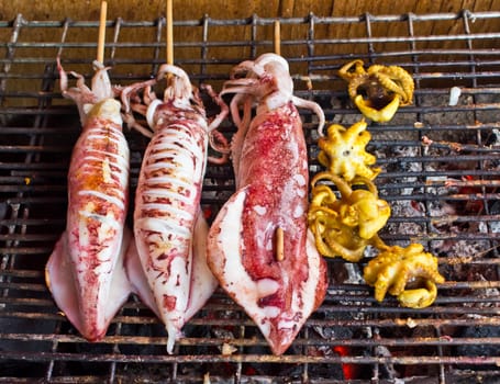 Many of grilled squid in thai market