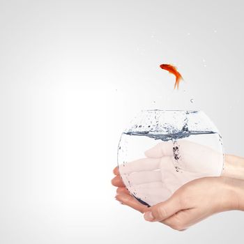 Illustration with goldfish in aquarium on white background