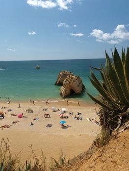 A section of the idyllic Praia de Rocha beach on the Algarve region. 