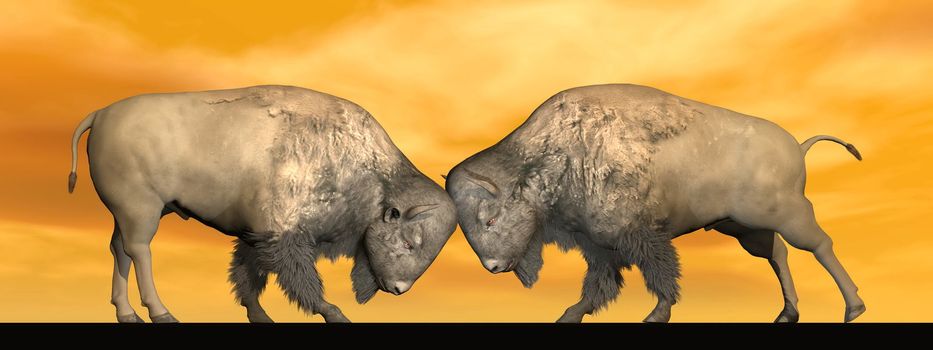 Two bisons fighting head against head in orange brown background