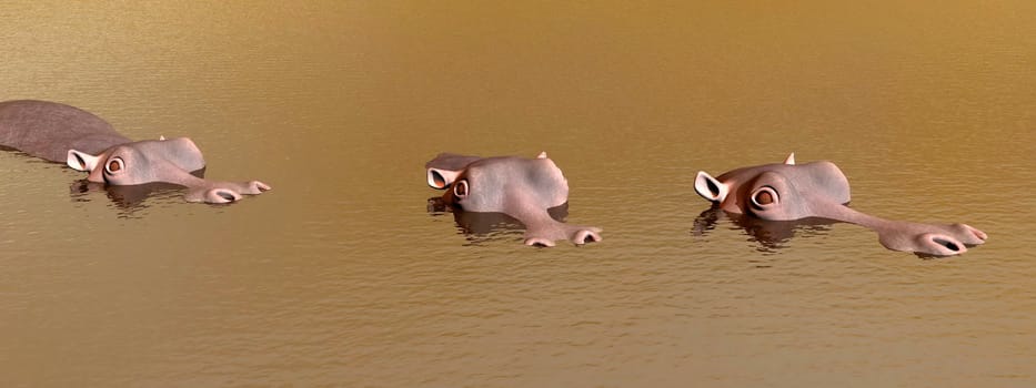 Head of three hippopotamus out of the brown water