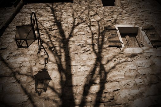 Shadow of branches on an old wall with street lamd and small window