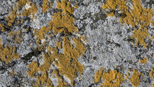 Texture of nature stone background