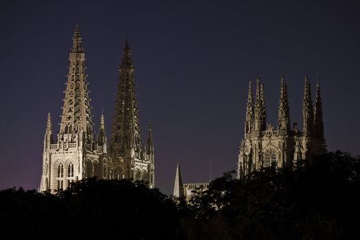 Night view of Burgo de Osma cathedral