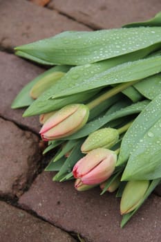 Small tulip bouquet in the rain, left on pavement