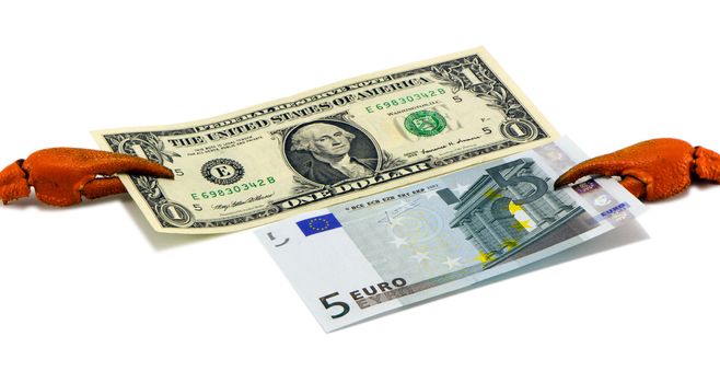 sea crab cancer claw clip hold european euro and usa dollar cash money paper banknotes isolated on white