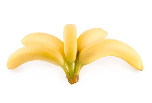 Bunch of five exotic bananas fruits isolated