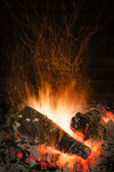 Fire Flames in a fireplace