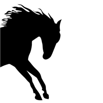 beautiful black horse silhouette isolated on white background