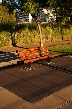 lonely bench in a green park