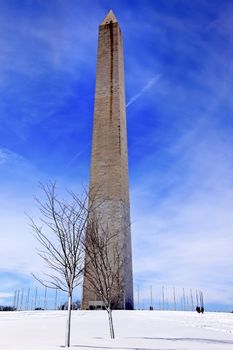 Washington Monument After the Snowstorm Snowy Trees Washington DC