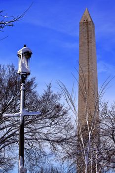 Washington Monument After the Snowstorm Through Snowy Trees and Street Lamp Washington DC