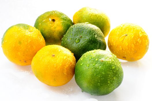 Fresh orange fruits on a white background