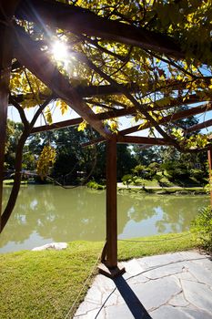 gazebo near the pond in the park