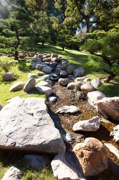 coniferous trees and rocks on a background of blue sky