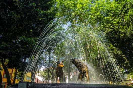 A fount with dog statues in Coyoacan in Mexico City