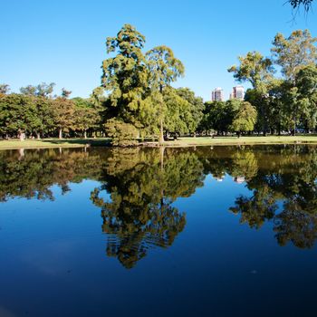 trees and a pond on a background of blue sky and the city