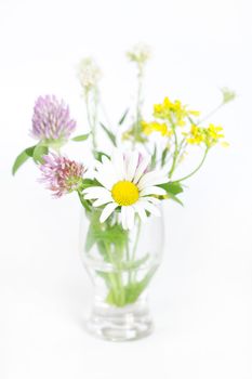 bouquet of wild flowers on a white background