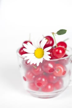 glass cup with cherries and chamomile