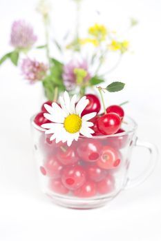 glass cup with cherries and a bouquet of wildflowers