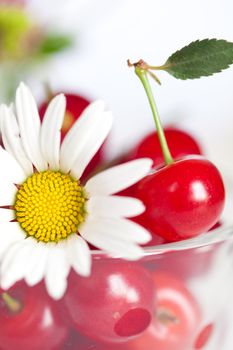 glass cup with cherries and chamomile