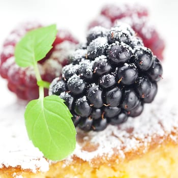 cake with icing, raspberry, blackberry and mint  on a white background