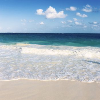 part of caribbean beach with wave on the sand