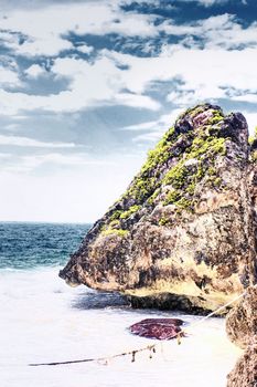 rock on a caribbean beach in Mexico
