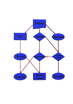 Project flow chart diagram use for programming