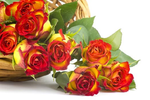 red and yellow roses
