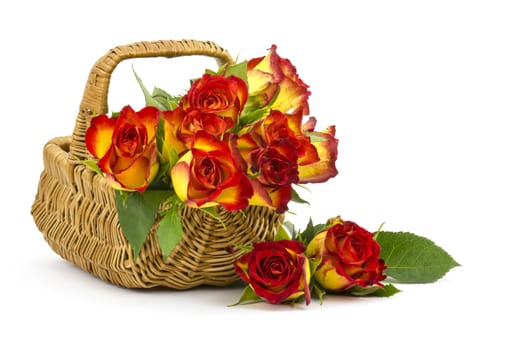 red and yellow roses in a basket