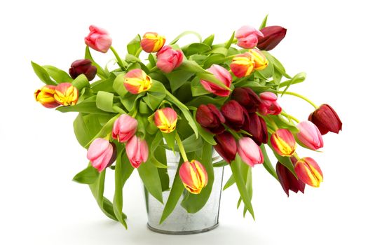 colourful tulips in a bucket
