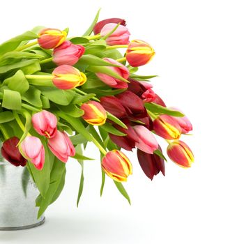 colourful tulips in a bucket