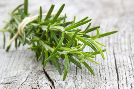 fresh rosemary (Rosmarinus officinalis)