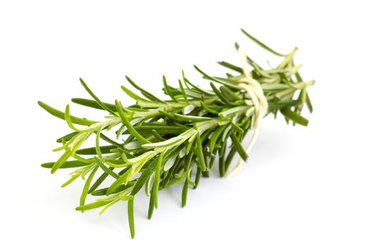 fresh rosemary (Rosmarinus officinalis)