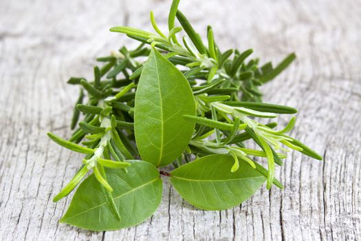 fresh herbs - rosemary and bay laurel