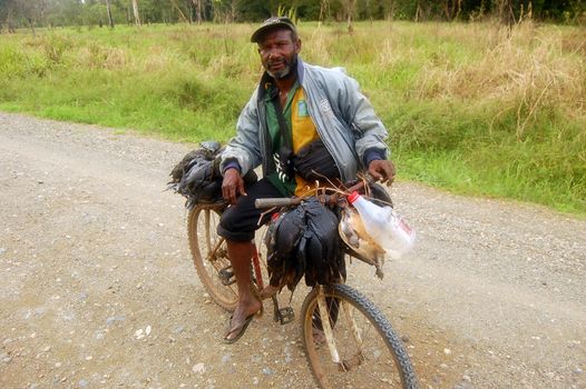 Man with fish on bycicle at gravel road.
June 16, 2011. Gulf Province. Papua New Guinea