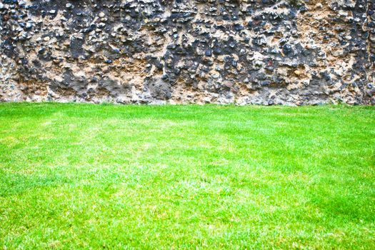 Background image of lush green grass and a stone wall