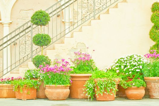 Low contrast still life image of pot plants in an italian garden