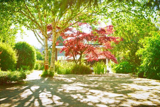 A shaded garden courtyard with spring color