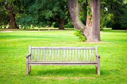 A wooden bench in lush green parkland in summer