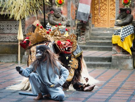 UBUD, BALI, INDONESIA - SEP 21: Barong Dance show with monkey, the traditional balinese performance on Sep 21, 2012 in Ubud, Bali, Indonesia. The show is popular tourist attraction on Bali.