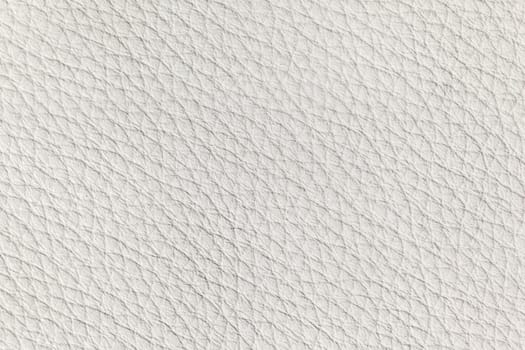 white leather texture close up