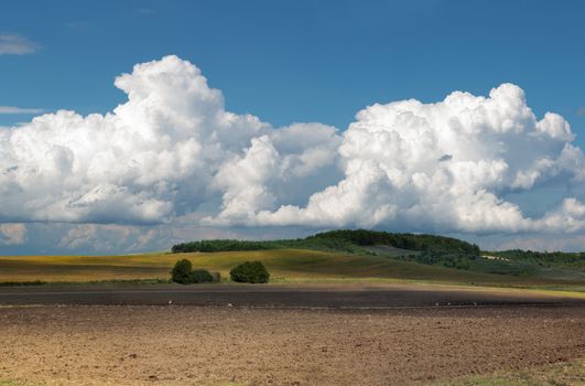 View of agrarian field under a bright cloudy sky