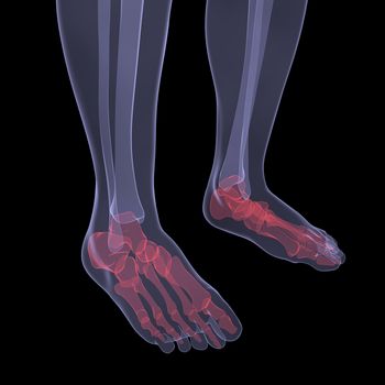 X-ray of human legs. Render on a black background