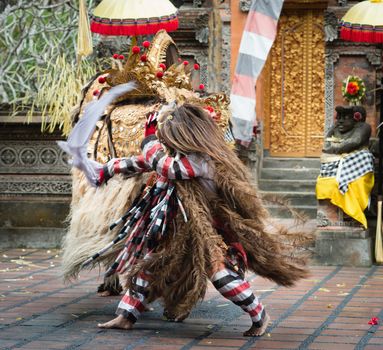 UBUD, BALI, INDONESIA - SEP 21: Barong and Rangla fight in the traditional balinese Barond dance performance on Sep 21, 2012 in Ubud, Bali, Indonesia. The show is popular tourist attraction on Bali.