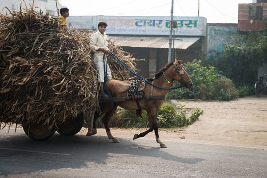 AGRA, INDIA - NOVEMBER 15: Two Indian boys ride a horse with loaded cart on a road on Nov 15, 2012 in Agra, India