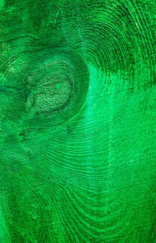 wood plank texture in green color